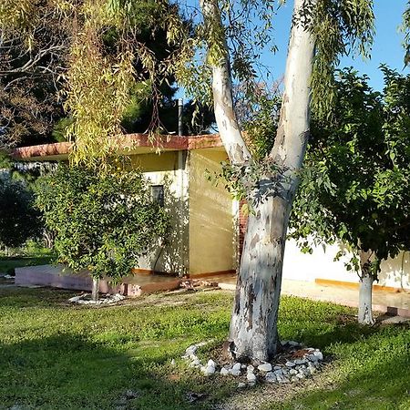 Danaides Bungalows Толон Экстерьер фото